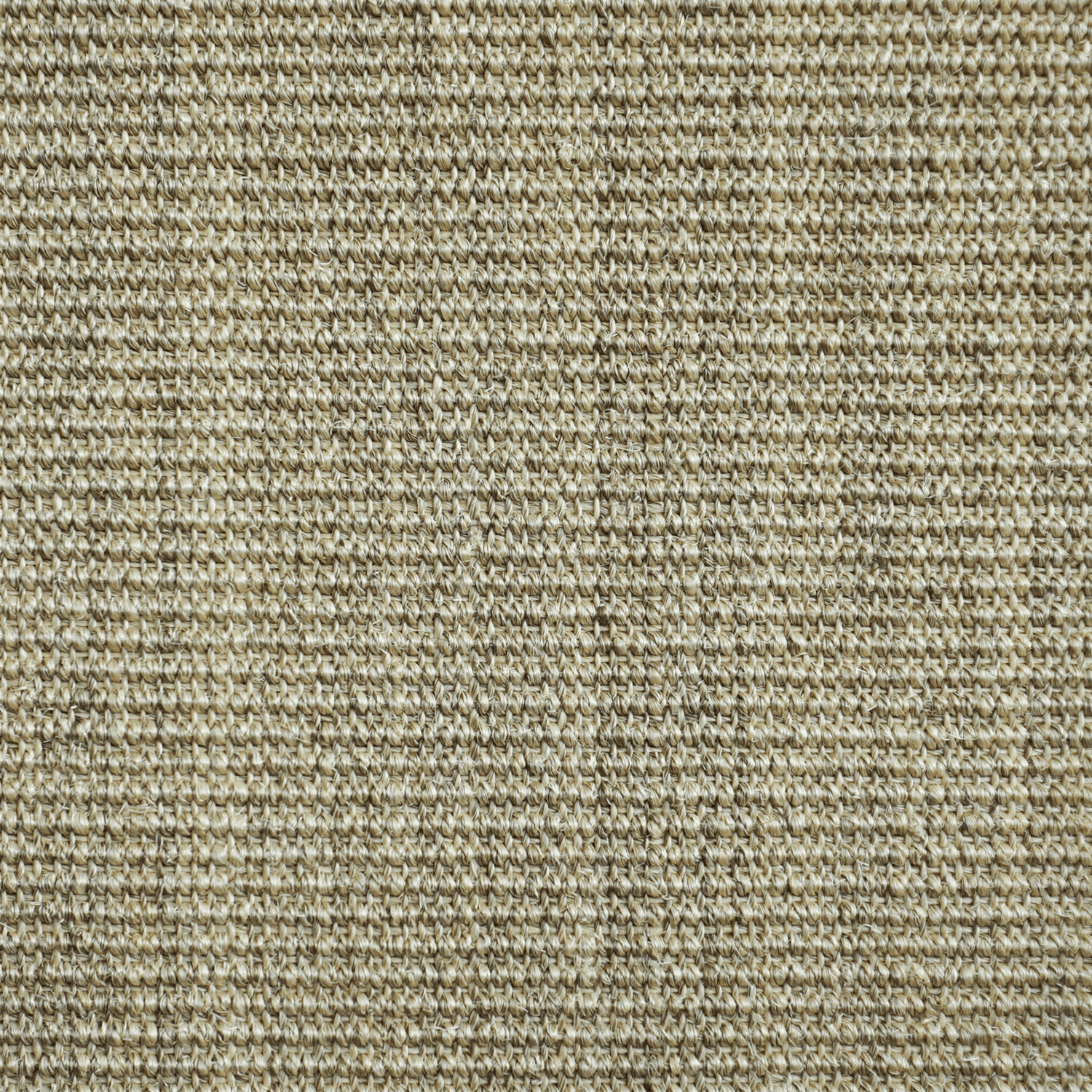 Clermont_Birch_SisalCarpet