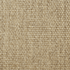 Beige/Light Brown Sisal Carpet and Stair Runner Flat Weave