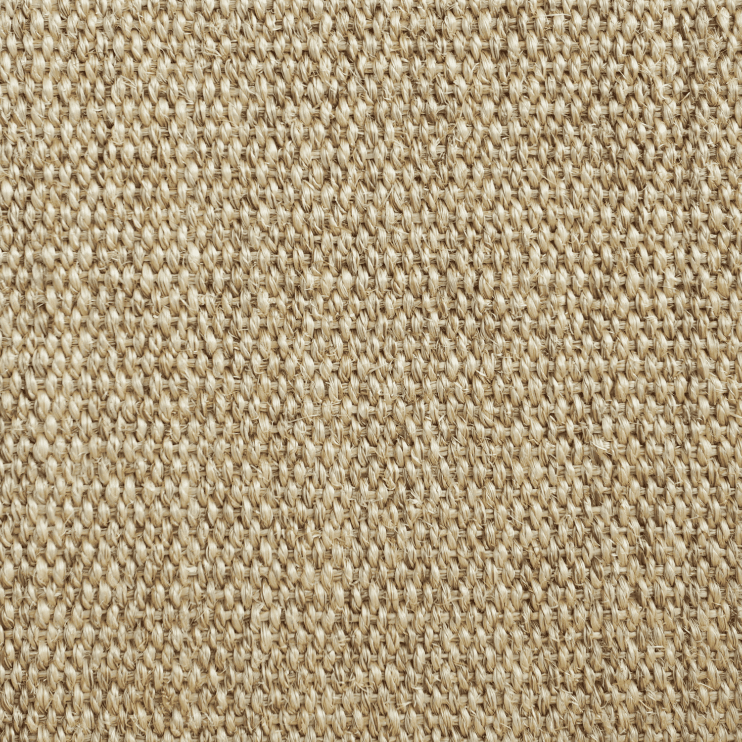 Beige/Light Brown Sisal Carpet and Stair Runner Flat Weave